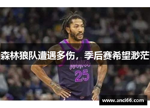 森林狼队遭遇多伤，季后赛希望渺茫